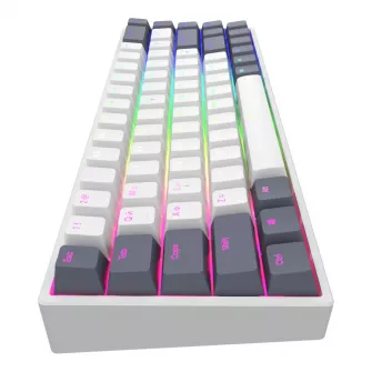 Gejmerske tastature - Dark Project KD68B White / Navy Blue - G3MS Mech. RGB (ENG) - EOL