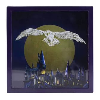 Merchandise razno - Kasica Harry Potter - Hedwig Frame - Money Box