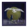 Kasica Harry Potter - Hedwig Frame - Money Box