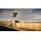 Switch Skater XL