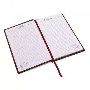 Harry Potter - Quidditch A5 Notebook