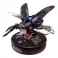 Stag Beetle