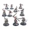 Kill Team: Fellgor Ravagers