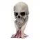 Metallica - Sad But True Skull (22cm)