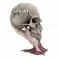 Metallica - Sad But True Skull (22cm)