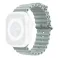 Smart Watch Ocean Strap 44/45/49mm Succulent
