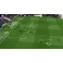 Switch Sociable Soccer 2024