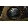PS5 The Talos Principle 2 - Devolver Deluxe