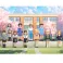 NORI Youth Lookbook Series Blind Box (Single)