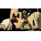 PS5 Mike Mignola's Hellboy: Web of Wyrd - Collectors Edition