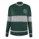 Harry Potter - Slytherin Qudditch Sweater (XS)