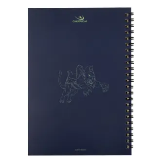 Notesi i olovke - Masters Of The Universe Revelation - Battle Cat Notebook