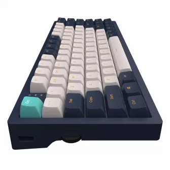 Gejmerske tastature - Dark Project KD83A Ivory / Navy Blue - RGB ANSI (ENG) - EOL