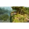 PS5 ARK: Survival Ascended