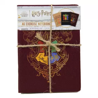 Notesi i olovke - Harry Potter - A6 Notebooks 3PK - Colorful Crest