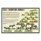 Farmyard Animals