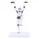 Stormtrooper - Crane Kick (20.5 cm)