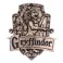 Harry Potter - Gryffindor Wall Plaque (20 cm)