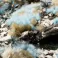 Alien Frost 6mm - Wild