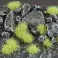 Light Green 4mm - Wild