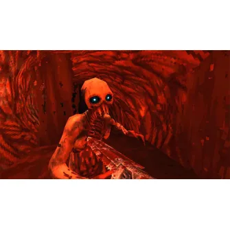 Nintendo Switch igre - Switch Wrath: Aeon of Ruin
