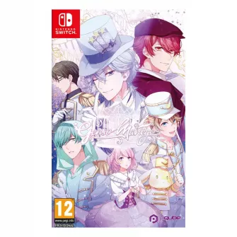 Nintendo Switch igre - Switch Genso Manege