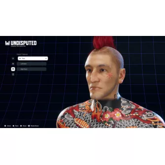 Xbox Series X/S igre - XSX Undisputed