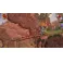 Switch TY the Tasmanian Tiger HD: Bush Rescue Bundle - Deluxe Edition