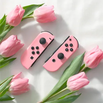 Gejmpedi - Nintendo Switch Joy-Con Pair - Pastel Pink
