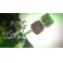 XBOXONE/XSX Sonic x Shadow Generations