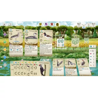 Nintendo Switch igre - Switch Wingspan - Special Edition