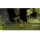 Evercade Tomb Raider Collection 1