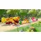 Switch Super Mario Party Jamboree