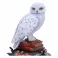 Harry Potter - Hedwig Figurine (22 cm)