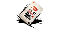 Wildcard Properties